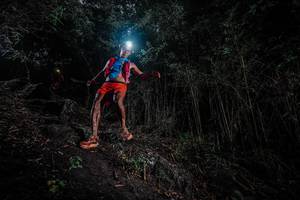 BIB: 
                            <button type="button" onclick="openModal(25090155)" class="btn btn-primary btn-sm float-right btn-popup" data-toggle="modal" data-target=".modal-high-quality">
                        <i class="fas fa-shopping-cart"></i> Add to Cart
                    </button>
                                            <button type="button" onclick="isThisMe(25090155, true)" class="btn btn-success btn-sm float-right btn-popup btn-isme hidden" data-toggle="tooltip" data-placement="bottom" title="นี่คือรูปของคุณใช่ไหม คลิกที่นี่เพื่อเอาเข้าอัลบั้ม">
                        <i class="fas fa-plus"></i> Add to album
                    </button>
                    <button type="button" onclick="isThisMe(25090155, false)" class="btn btn-warning btn-sm float-right btn-popup btn-isnotme hidden">
                        <i class="fas fa-ban"></i> Remove from album
                    </button>